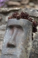 Les têtes sculturelles de style île de Pâques sont plantées de sempervivums, pour un intérêt tout au long de l'année. Le printemps