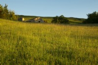 La prairie de fauche, les fleurs sauvages et une grange en pierre derrière la Maison Blanche