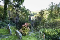 Palmiers et arbustes parmi les pierres tombales à St Just in Roseland cimetière à Cornwall au printemps