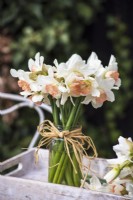 Bouquet de Narcisse 'Pink Charm' présenté dans un bocal en verre avec nœud en raphia noué