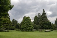 Vue générale Arboretum Kalmthout, Provincie Antwerpen, Belgique.