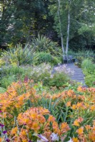 Chemin de terrasse en bois menant à des sièges à côté d'un parterre de fleurs avec des Alstromerias orange, des Cordylines et des Astilbes