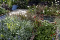 Iris 'White Swirl', Geum 'Mrs Bradshaw' et Salvia nemerosa 'Caradonna' autour d'un petit étang tranquille