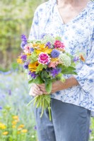 Femme tenant un bouquet contenant Zinnias 'Whirlygig Mixed' et 'Cactus Mixed', Ammi visnaga, Salvia viridis 'Blue Monday' et Echinops ritro - Globe Thistle