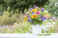 Bouquet contenant Zinnias 'Whirlygig Mixed' et 'Cactus Mixed', Ammi visnaga, Salvia viridis 'Blue Monday' et Echinops ritro - Globe Thistle