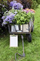 Un chariot de fleurs et de feuillages fraîchement coupés dans une ferme florale en juillet