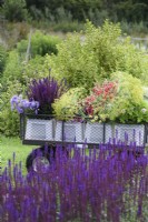 Chariot de fleurs fraîchement cueillies, y compris le fenouil, la scabieuse, les sauges et les antirrhinums dans une ferme florale en juillet