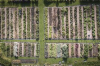 Vue aérienne d'une ferme florale en juillet