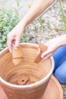 Femme plaçant des pots dans le pot