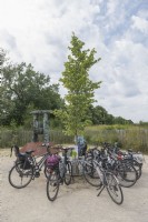 Haren Groningen Pays-BasPorte-vélos idiosyncratique en cercle autour d'un arbre qui poussera pour fournir de l'ombre à l'avenir.