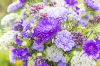 Bouquet contenant Ammi visnaga, Verbena bonariensis, Callistephus 'Light Blue' et 'Dark Blue', Ageratum 'Blue Mink' et Consolida ajacis 'Blue Spire'