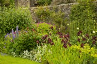 Un parterre de fleurs planté d'Iris 'Solid Mohagany', d'un iris barbu, de Lupinus 'The Governor', de paeonia et de géranium à Parcevall Hall Gardens en juin