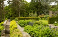 Un banc en bois entouré de plantes et de haie d'ifs sur une terrasse à Parcevall Hall Gardens en juin