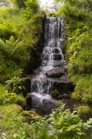La cascade du Tarn Ghyll Wood entourée de fougères et de fleurs printanières à Parcevall Hall