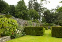 Wisteria floribunda 'Alba' et Rosa 'Gertrude Jekyll' sur un mur de pierre et des parterres de fleurs plantés d'Iris et de Paeonia à Parcevall Hall Gardens en juin