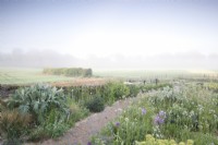 Champs brumeux au-delà de Hailstone Barn, Gloucestershire, avec plantation de vivaces fin mai.