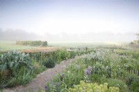 Champs brumeux au-delà de Hailstone Barn, Gloucestershire avec plantation de vivaces fin mai.