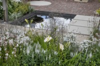 Hemerocallis 'Gentle Shepherd' et Gaura linheimeri 'Whirling Butterflies' dans le Joy Club Garden au RHS Hampton Court Palace Garden Festival 2022