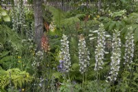 Acanthus dans le jardin iconique des héros horticoles - Sarah Eberle au RHS Hampton Court Palace Garden Festival 2022