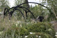 Passerelle à la bombe noire dans le jardin des connexions au RHS Hampton Court Palace Garden Festival 2022