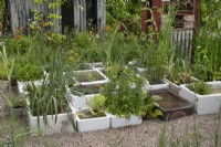 Éviers en pierre récupérés comme jardinières et éléments aquatiques dans le jardin de Frances à BBC Gardeners World Live 2022