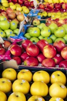 Pommes en jaune, rouge et vert, y compris Pink Lady et Chantecler dans des caisses en carton sur l'étal du marché.