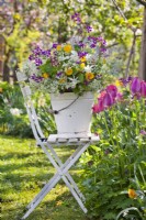 Bouquet de fleurs de printemps dans un seau contenant des jonquilles et des fleurs sauvages telles que le pissenlit, le persil de vache, l'honnêteté, la renoncule et l'archange à feuilles de mélisse.