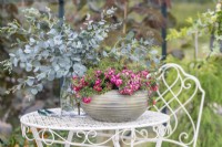 Pots avec rose Gaultheria mucronata 'Mascula' et brins d'eucalyptus sur une table de jardin en métal