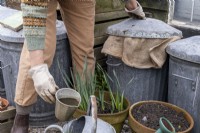 Création d'un aliment liquide pour le jardin à l'aide de végétation en décomposition dans un sac de jute à l'intérieur d'une poubelle. Verser le liquide dans un arrosoir.