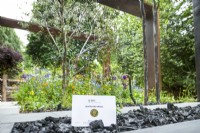 Certificat de médaille d'argent en vermeil sur le stand The Body Shop Garden Designer: Jennifer HirschRHS Chelsea Flower Show 2022 Sanctuary Gardens