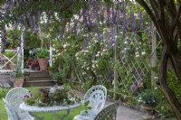 Des bouquets de fleurs lilas de Buddleja alternifolia surplombent un coin salon, encadrant une vue sur un trelis en bois recouvert de roses grimpantes roses.