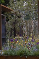 Le jardin de l'atelier de carrosserie. RHS Chelsea Flower Show 2022. Médaille argentée. Structures en acier Corten avec des plantations douces et colorées. Été. Peut.