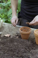 Placer les pots au fond du pot en terre cuite avant d'ajouter du compost