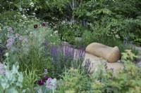 Le Jardin Place2Be Sécuriser Demain. Designer : Jamie Butterworth. Plantation colorée de style boisé avec assise en chêne. Les plantes comprennent la valériane, la salvia, l'iris et les graminées ornementales. RHS Chelsea Flower Show 2022. Médaille d'or.