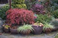 Pots sur le patio dans le jardin des quatre saisons d'inspiration japonaise, Walsall - octobre