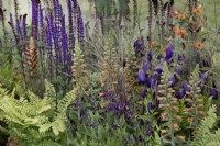 Beau parterre de fleurs assez sauvage au BBC Gardener's World Live 2022