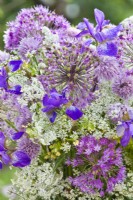 Bouquet de fleurs violet - blanc contenant de l'iris, de l'allium, du persil de vache et de la ciboulette.