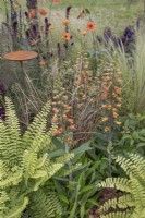 Beau parterre de fleurs assez sauvage au BBC Gardener's World Live 2022