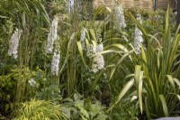 Delphiniums blancs et cordyline dans le jardin Nurture Through Nature au BBC Gardener's World Live 2022