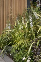 Delphiniums blancs et cordylines dans le jardin Nurture Through Nature au BBC Gardener's World Live 2022