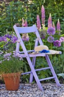 Jardin de printemps à thème violet avec ciboulette, alliums, iris, ancolie et lupins.