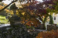 Un mur de soutènement en pierre avec un fleuron d'extrémité mène à un bosquet d'acer au bord d'un jardin. Whitstone Farm, Devon NGS jardin, automne