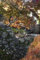 Un mur de soutènement en pierre a une statue de bouddha assise dessus sous un bosquet d'acer. Whitstone Farm, Devon NGS jardin, automne