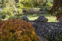Un mur de soutènement avec fleurons en pierre se trouve derrière un acer aux couleurs automnales. Whitstone Farm, Devon NGS jardin, automne