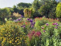 Jardin arrière coloré avec parterres mixtes dont Allium gigantum, Penstemon, Euryops, Poppy et Rheum