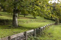 Plusieurs terrasses dans un jardin champêtre arboré et gazonné, rompent la pente du terrain. Une clôture en bois retient la terrasse de plain-pied. Whitstone Farm, Devon NGS jardin, automne