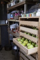 Un hangar de rempotage a un support de stockage de pommes en bois sur la droite avec un tiroir partiellement ouvert et plein de pommes. L'automne.