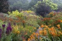 Grand parterre 'Hot' en fin d'été avec Crocosmia 'Star of the East', Helenium 'Sahin's Early Flowerer' et Lobelia 'Hadspen Purple'