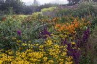 Grand parterre 'chaud' de fin d'été avec Rudbeckia fulgida var. deamii, Helenium 'Sahin's Early Flowerer et Lobelia 'Hadspen Purple'