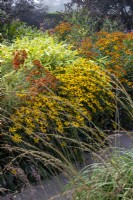 Grand parterre 'chaud' en fin d'été avec diverses vivaces tardives et graminées dont Rudbeckia fulgida var. deamii, Helenium 'Sahin's Early Flowerer' et 'Waltraut'